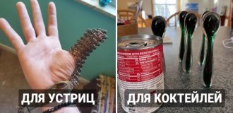 What's That Thing: The Strangest Finds. Issue 237