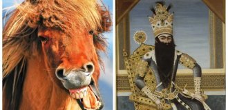 10 невероятных фактов о словах, вещах и событиях (11 фото)