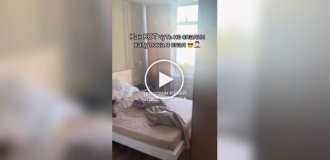Cat nearly burns down Odesa apartment while owner sleeps