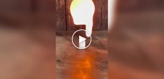 Красивое и удивительное (короткие видео). Выпуск 56