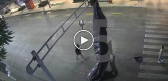 В Мехико парашютиста сняли с городского светофора