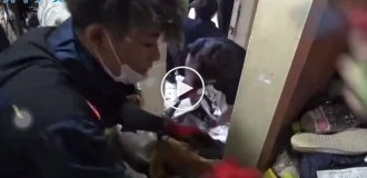 Уборщики нашли в заваленной мусором квартире старую картошку фри, которая выглядела свежей