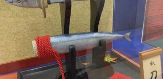 Случаи, когда люди не искали лёгких путей и создавали прям странные штуки (13 фото)