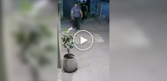 Пьяный хулиган повредил растения, но на следующий день вернулся все исправить