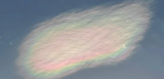 Подборка радуг в холодный день (3 фото + 3 видео)