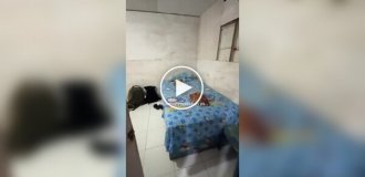 Самое бюджетное жилье в Индонезии: без окон и с туалетом на улице