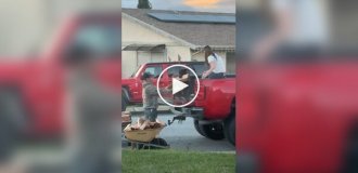 Четвероногий помощник