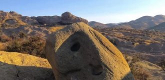 Когда везде мерещатся лица (30 фото)