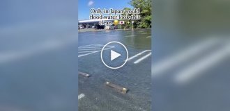Прозрачная лужа в Японии