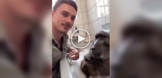 Guy bathes his baboon in the bath