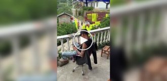 Когда попросил внука помочь со сбором апельсинов