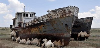 The Aral Sea is rising from the dead: why are people talking more often about the return of the waters? (11 photos)