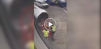 Cамолет не смог взлететь из-за пчел