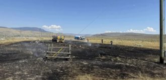 В Канаде рыба, упавшая с неба, обесточила село и вызвала пожар (4 фото)