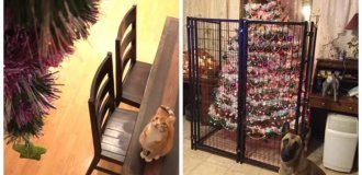 22 перевірених способи захистити новорічне диво та зберегти нерви (23 фото)