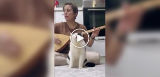 Дуэт года: Кот и его хозяйка исполняют народную песню