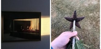 18 Perfect Photos Where Everything Is in Perfect Order (19 photos)