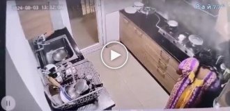 Cheeky monkey sneaks into kitchen and tries to undress cook