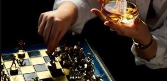 Як змінюється барна культура – від підпільних спікізі до коктейлів з ферментованим часником