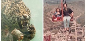 22 фото очень странных и даже пугающих вещей, которые существуют на самом деле (21 фото)