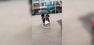 В Китае люди ловят рыбу на улицах после тайфуна