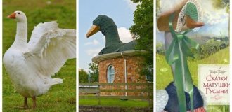 Mother Goose's house and the idea of ​​its creation (10 photos + 1 video)