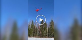 Mechanized tree trimming near power lines from a helicopter