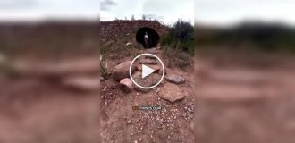 A unique vacation home away from technology has opened in South Africa.