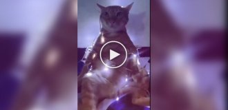 Головна прикраса на Новий рік