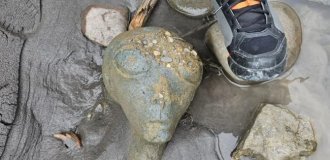 On the bank of a river in Switzerland, a "head" of a humanoid creature was found (3 photos)