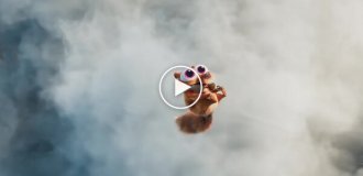 Вышел первый тизер нового «Ледникового периода»