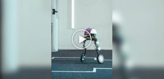 Робот-акробат Roadrunner: Будущее городской логистики и маневрирования