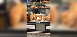 Крыса устроила хаос в парижской булочной