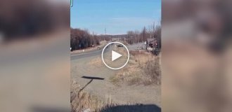 На Алясці місцевий житель відлетів з ресторану на особистому літаку