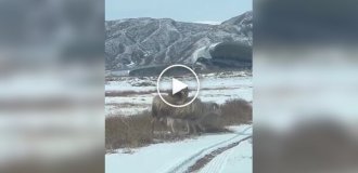 Мінімум зусиль – максимум контролю