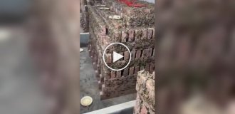 Ферма скорпионов