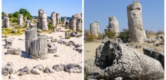 Stone forests Pobiti Stones in Bulgaria (10 photos + 1 video)