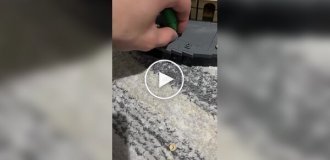 Кот оценил набор LEGO