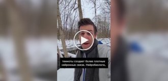 Зимние дети чаще становятся гениями — подтверждают ученые