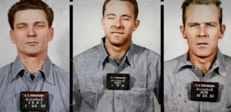 Шалені пагони (14 фото)