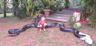 Анаконда: 5 фактов, которые ломают шаблоны об этой змее (14 фото)