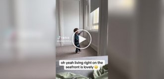 Чайка отобрала у малыша кусок пирога