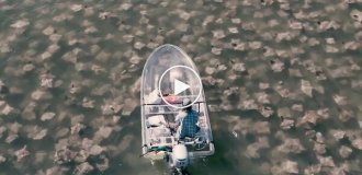 Чоловік проплив на прозорому човні серед схилів