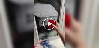 Парень рисует сказочные картины искусственным снегом на окнах