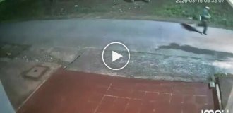 A rhinoceros chased a man in Nepal