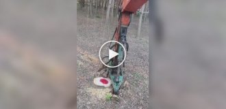 Removing a tree stump