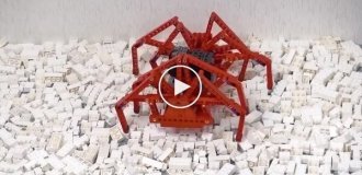 Соревнование шагоходов из конструктора