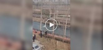 В Китае деревья теперь «стригут» лазерным лучом с дистанции