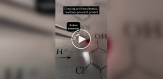 Chemistry in all its glory