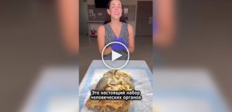 Расположение внутренних органов человека